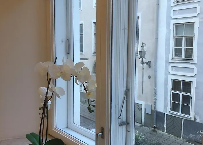 Stylish With Sauna In Old Town * タリン