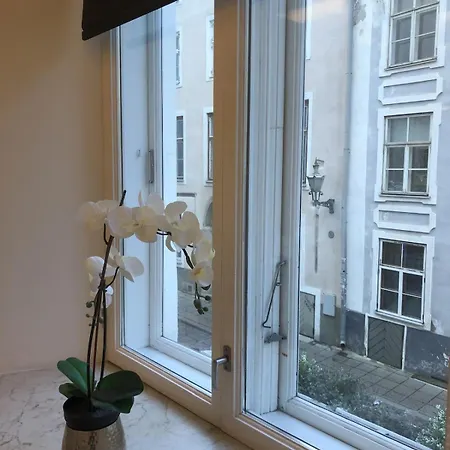 Stylish With Sauna In Old Town * タリン